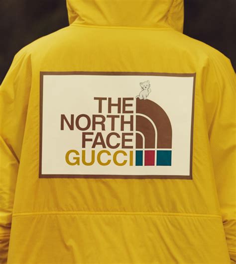 the north face gucci 2023|north face gucci shop online.